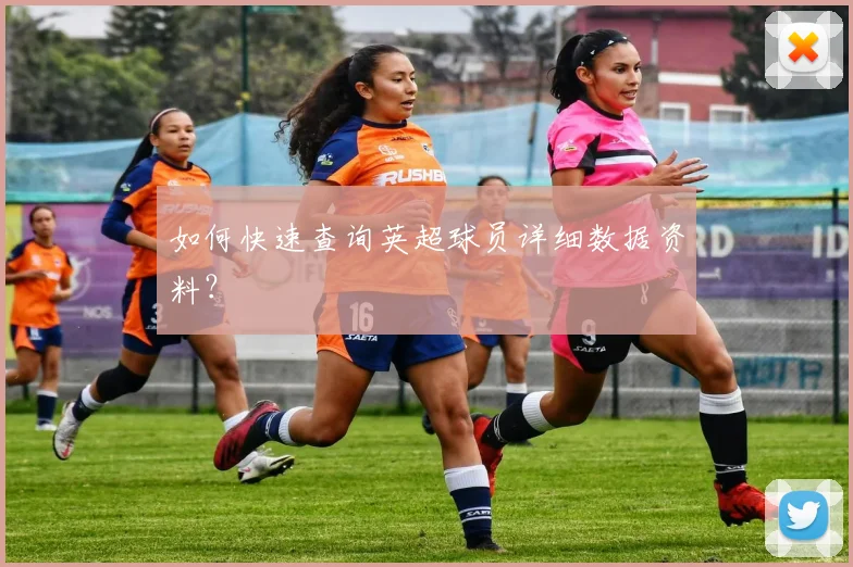如何快速查询英超球员详细数据资料？