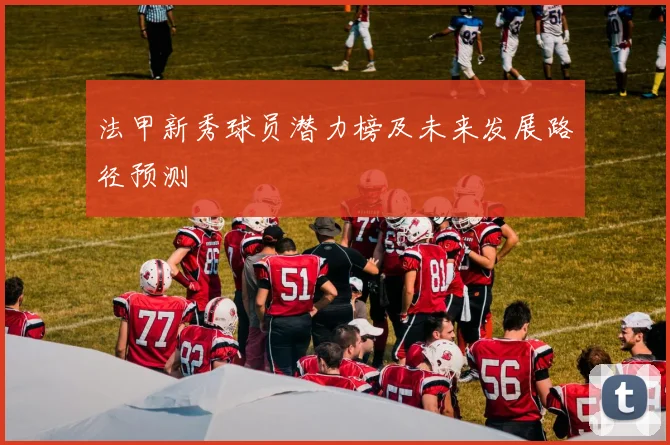法甲新秀球员潜力榜及未来发展路径预测