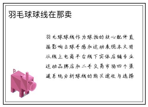 羽毛球球线在那卖