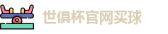 2025世界俱乐部杯